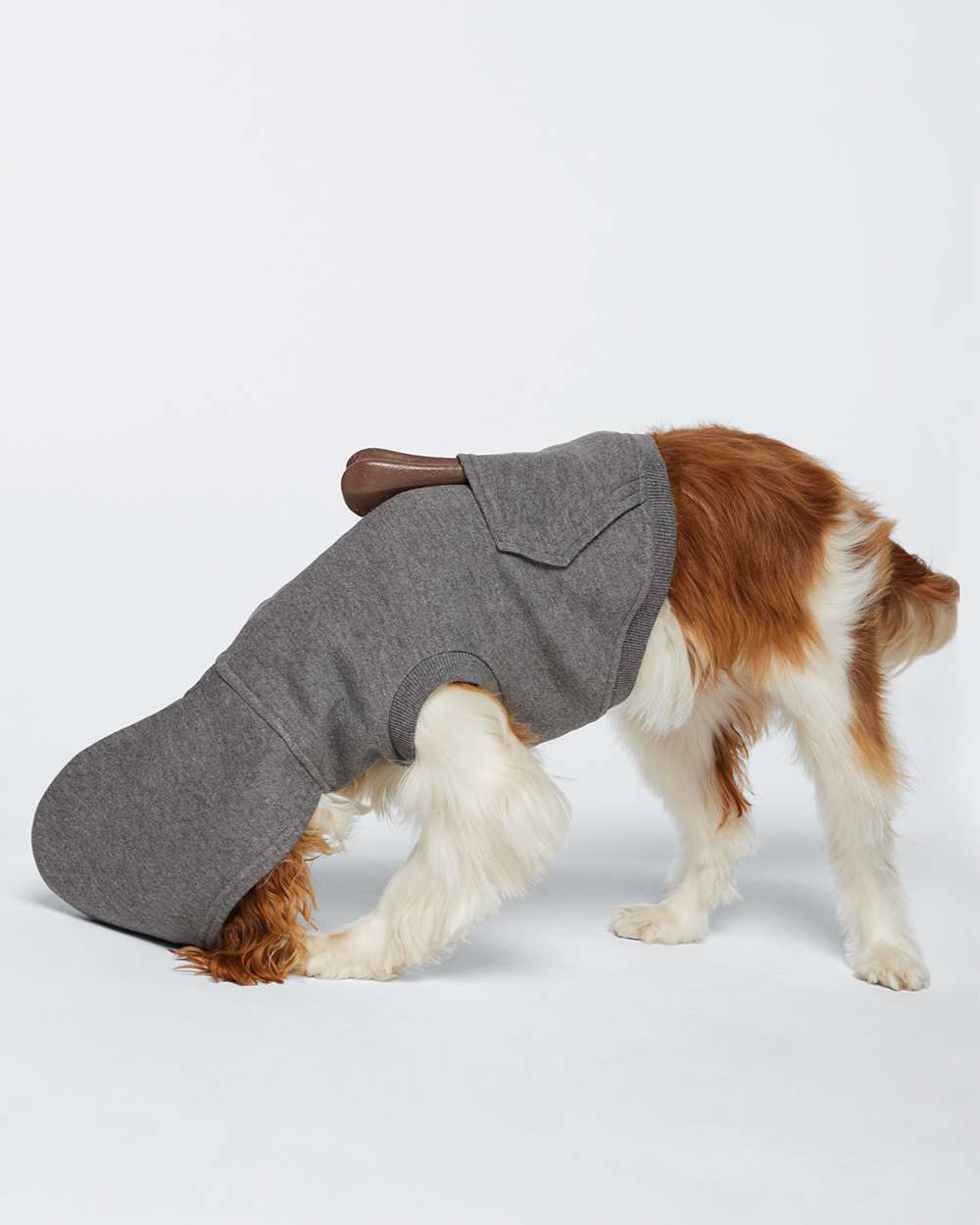 Image for 107536_oms_fl.jpg
