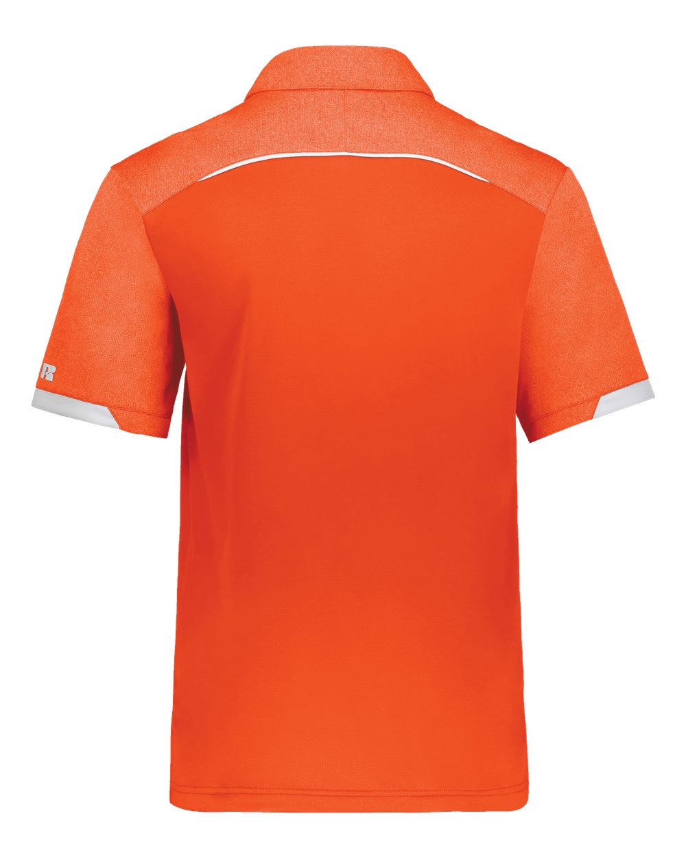 Image for 110634_b_fl.jpg