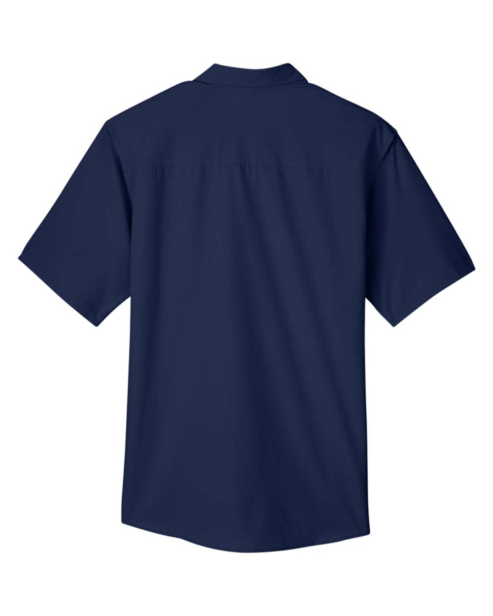 Image for 119018_b_fl.jpg