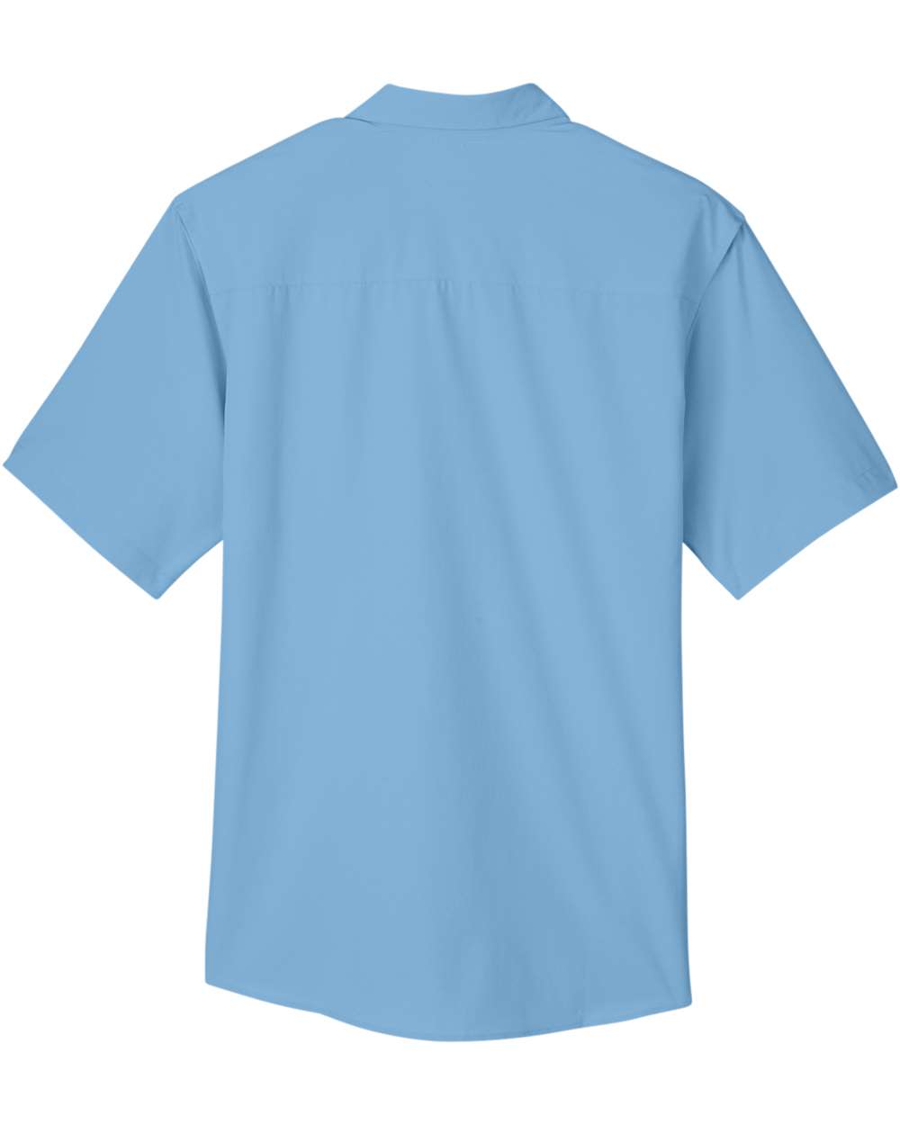 Image for 119019_b_fl.jpg