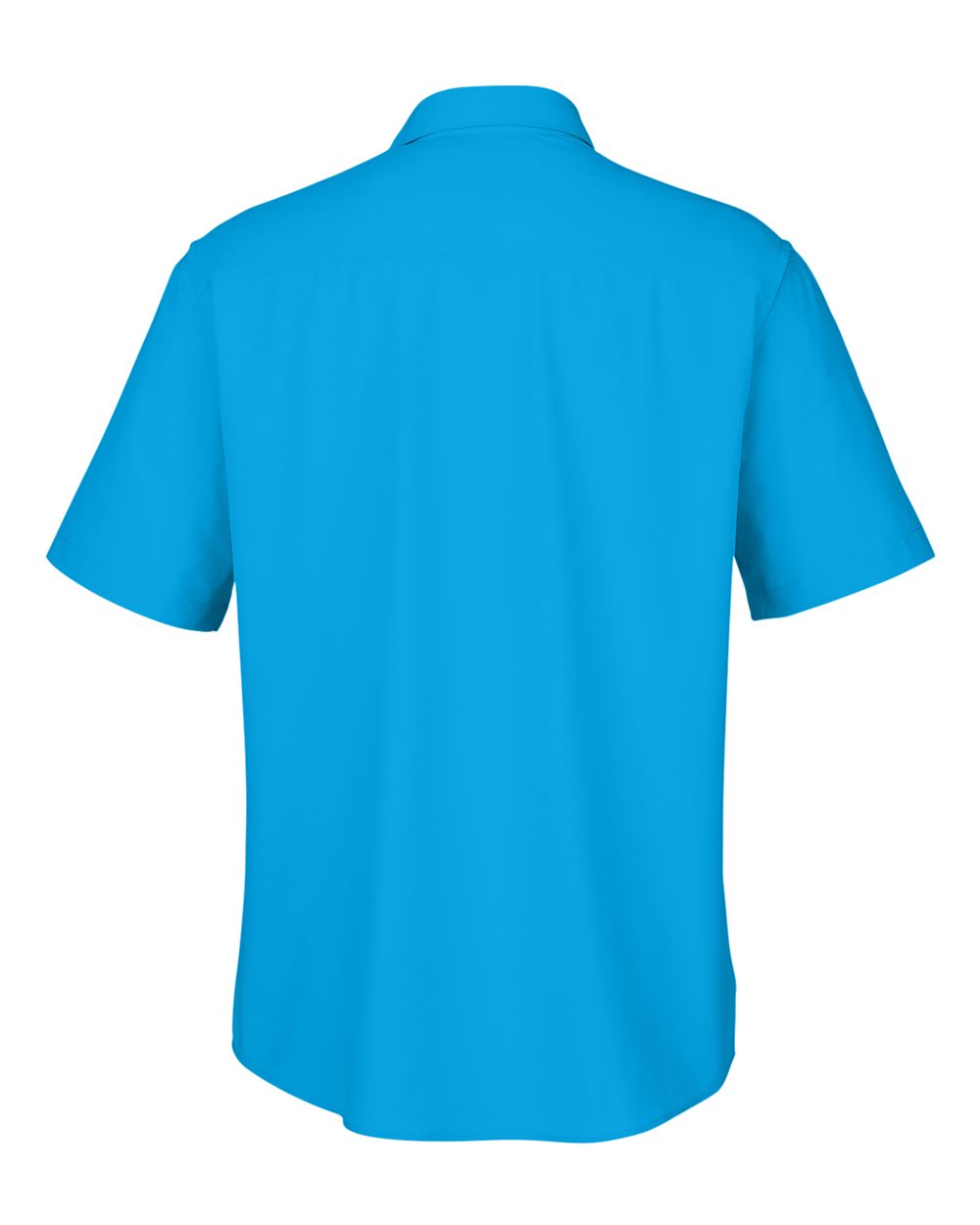 Image for 119020_b_fl.jpg
