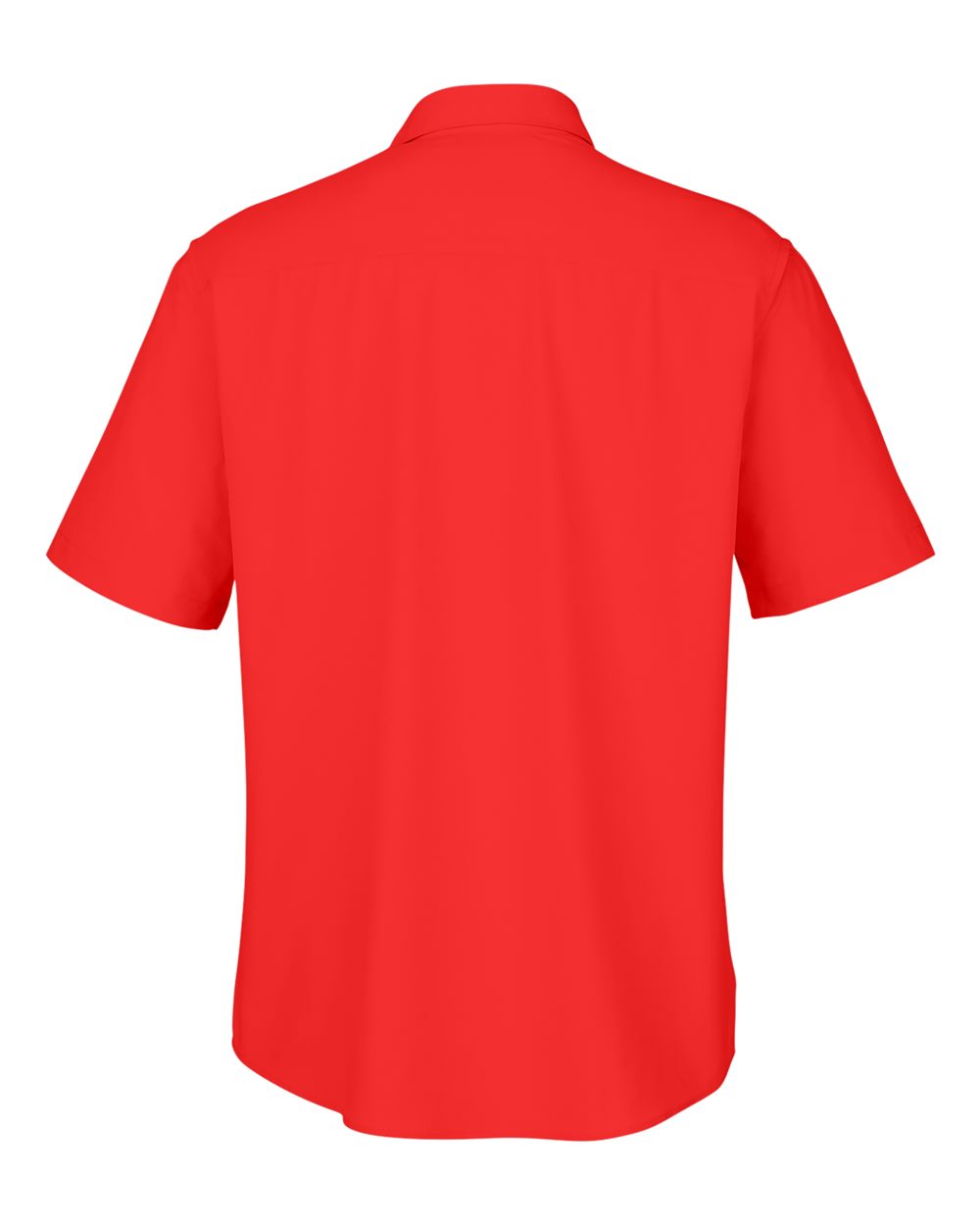 Image for 119021_b_fl.jpg