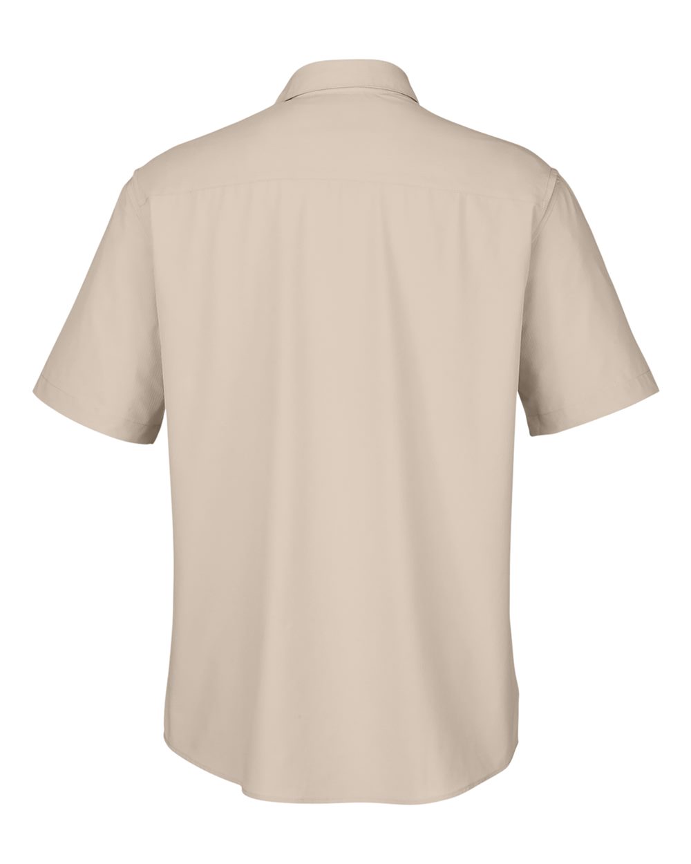 Image for 119024_b_fl.jpg