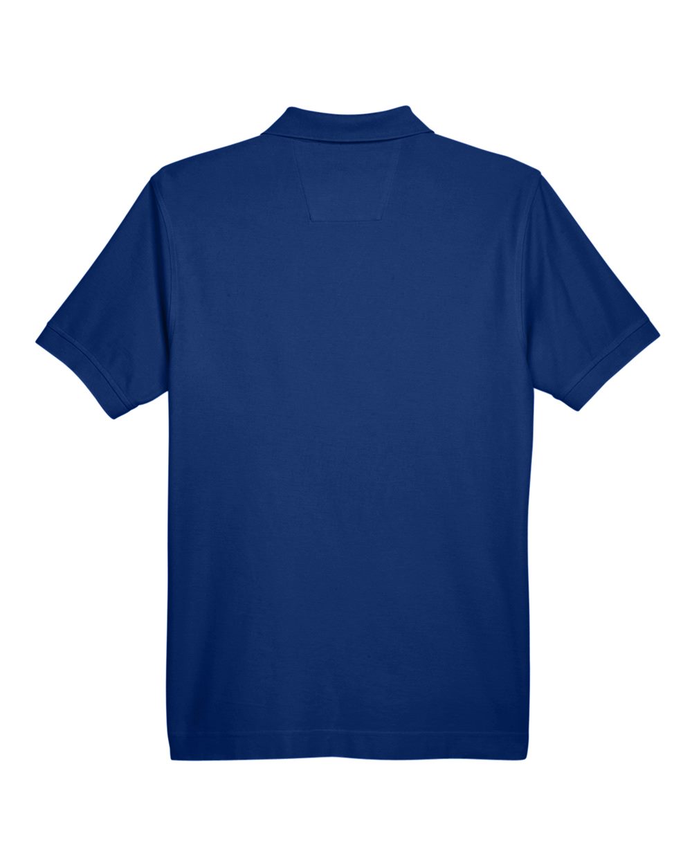 Image for 119203_b_fl.jpg