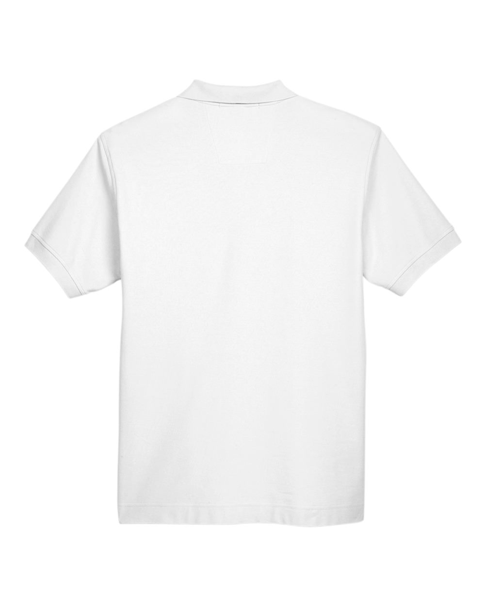 Image for 119204_b_fl.jpg
