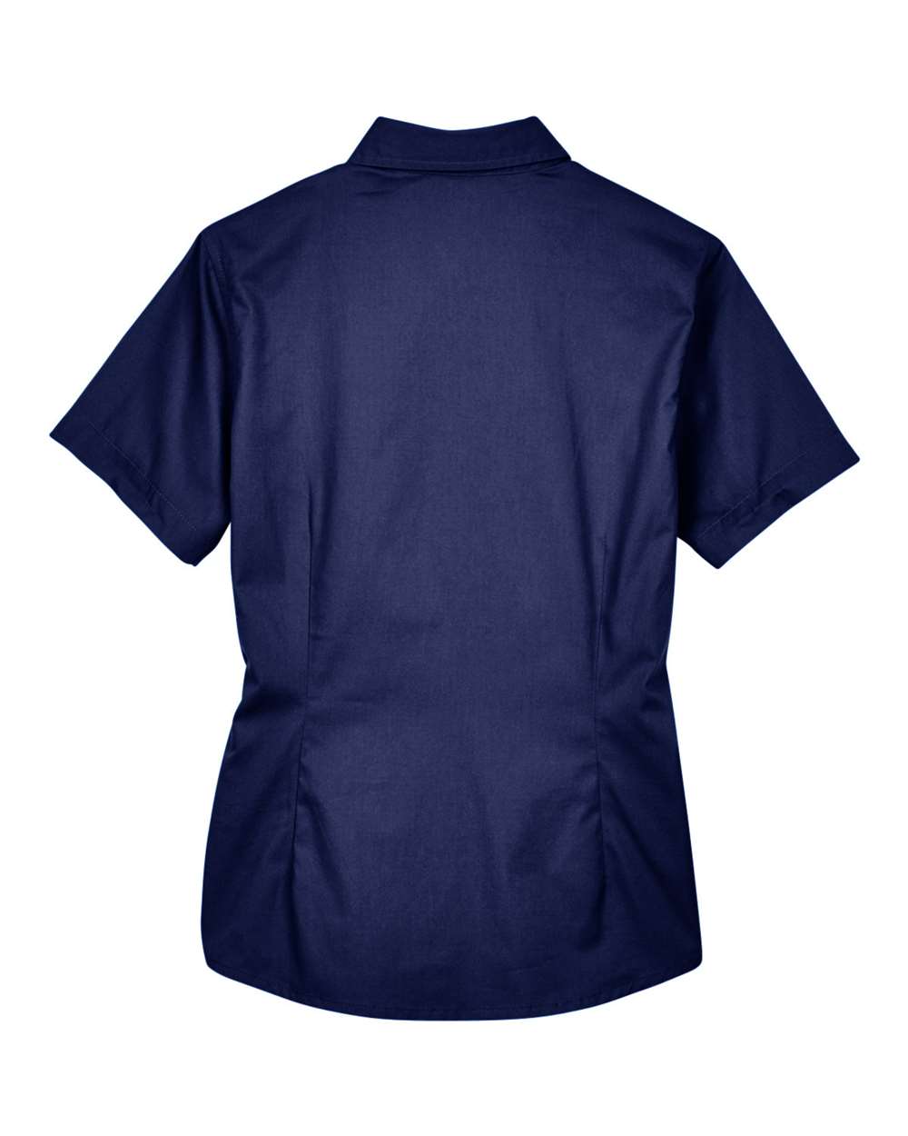 Image for 119595_b_fl.jpg