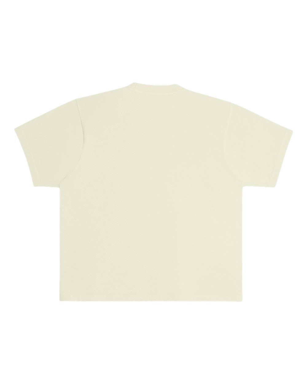 Image for 120437_b_fl.jpg