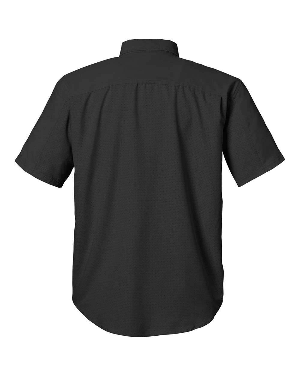 Image for 121560_b_fl.jpg