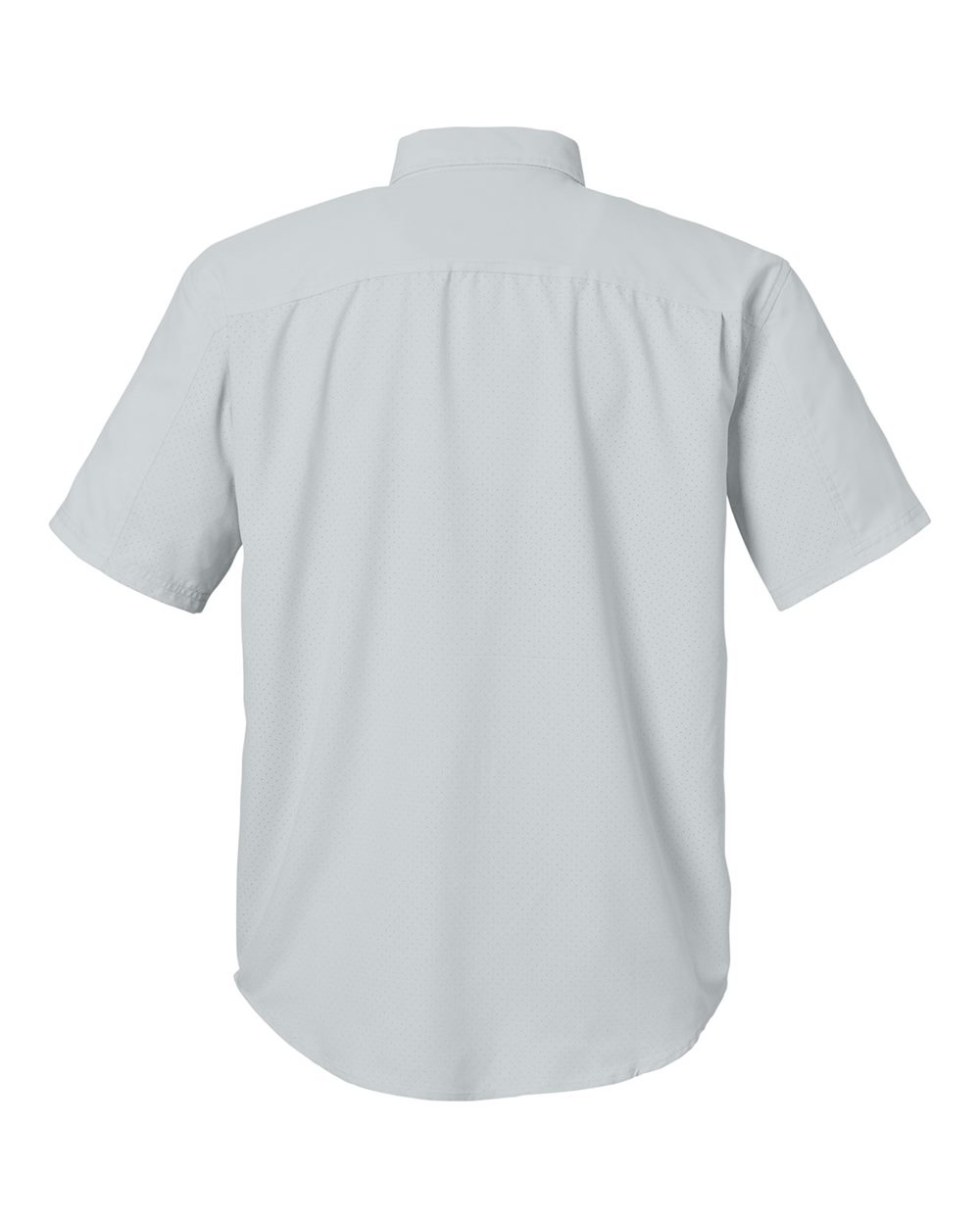 Image for 121562_b_fl.jpg