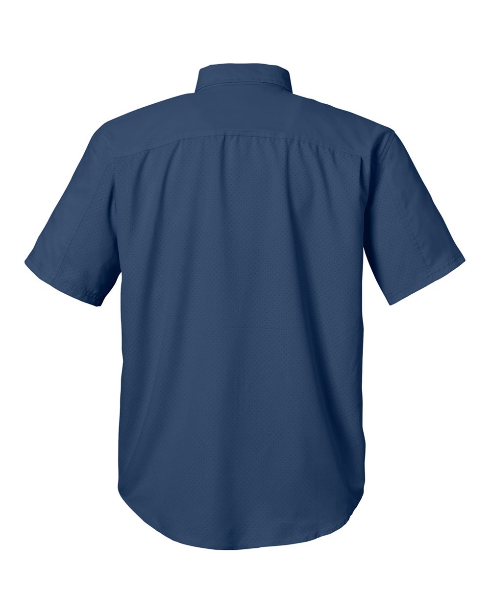 Image for 121564_b_fl.jpg