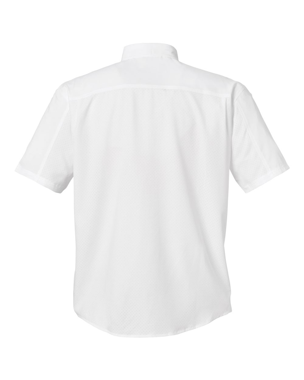 Image for 121565_b_fl.jpg