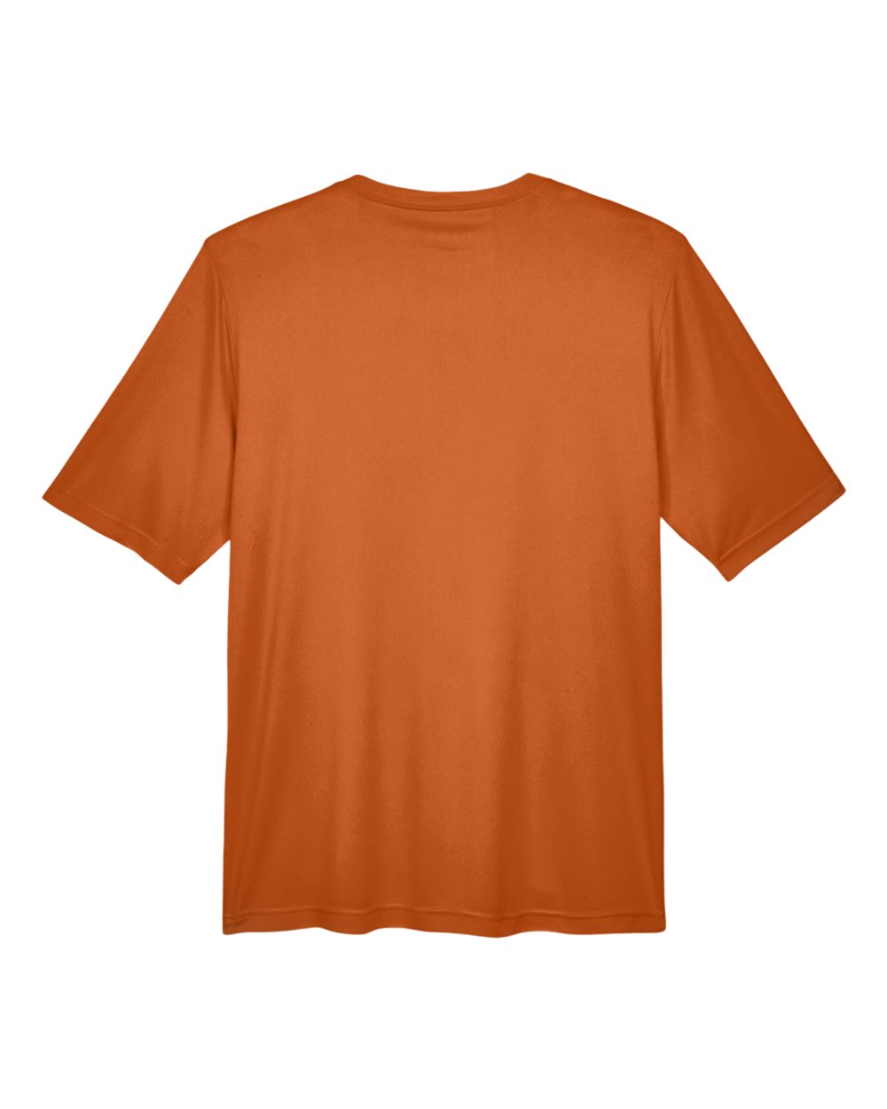 Image for 121667_b_fl.jpg