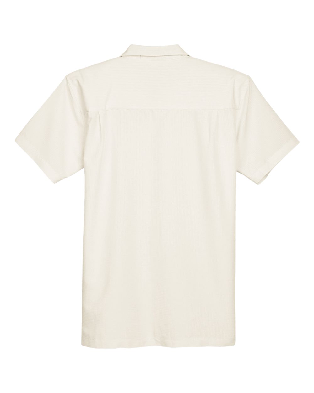 Image for 121975_b_fl.jpg