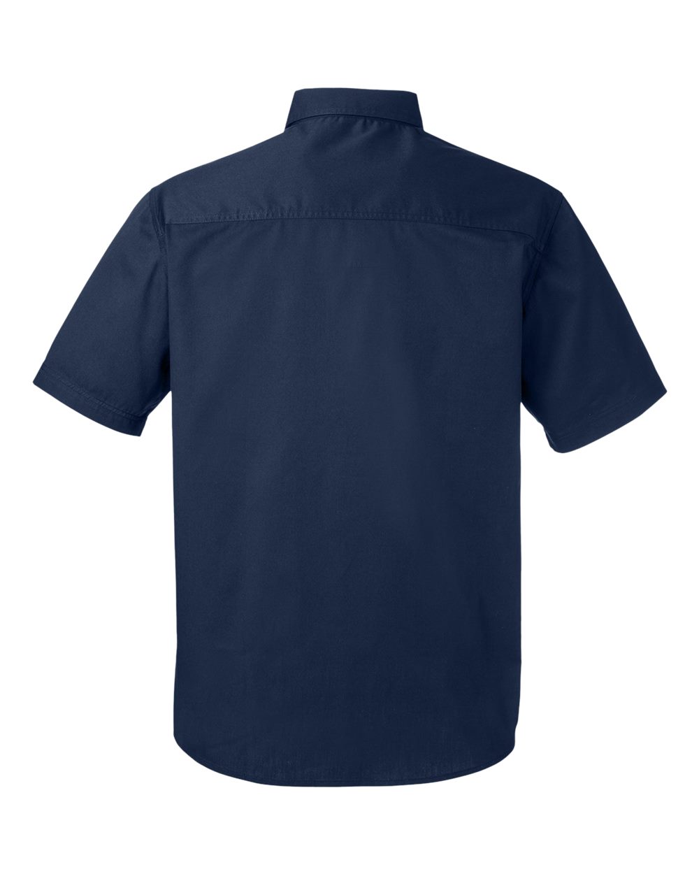 Image for 124116_b_fl.jpg