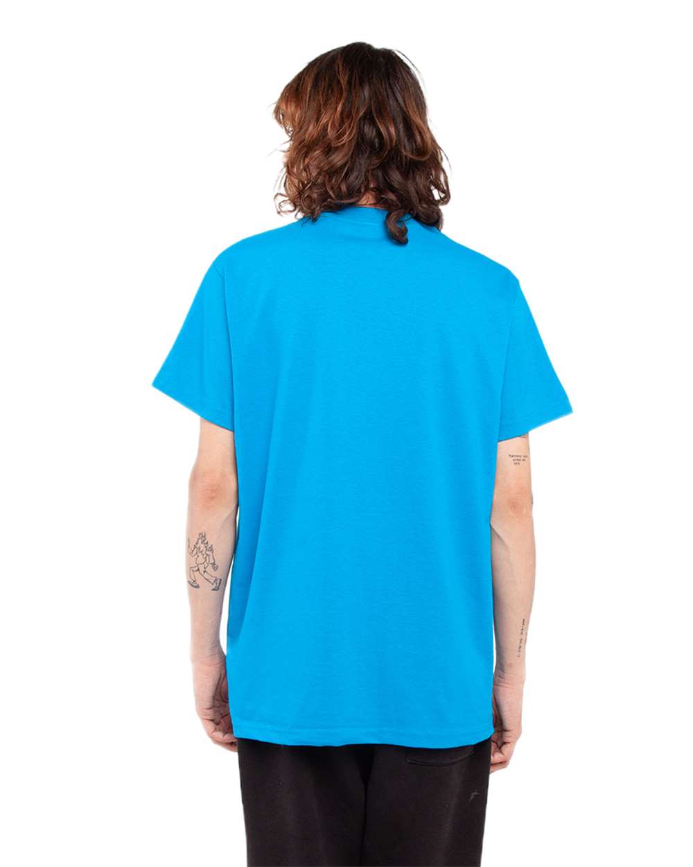 Image for 126079_omb_fl.jpg