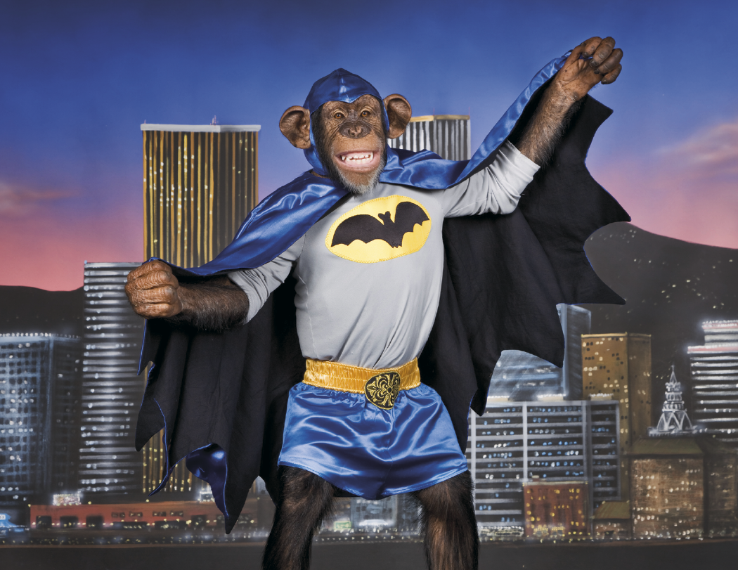 Triumph Calendars Monkey Business Calendar-1552