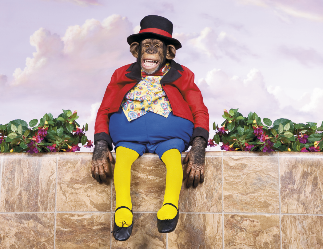 Triumph Calendars Monkey Business Calendar-1552