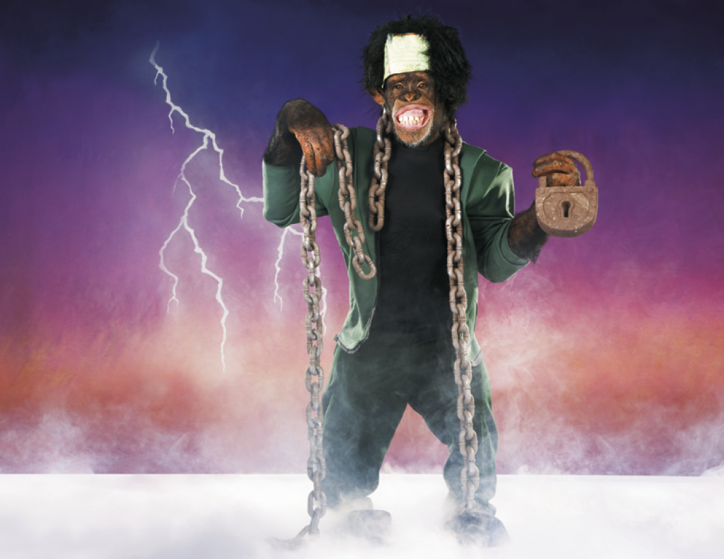 Triumph Calendars Monkey Business Calendar-1552