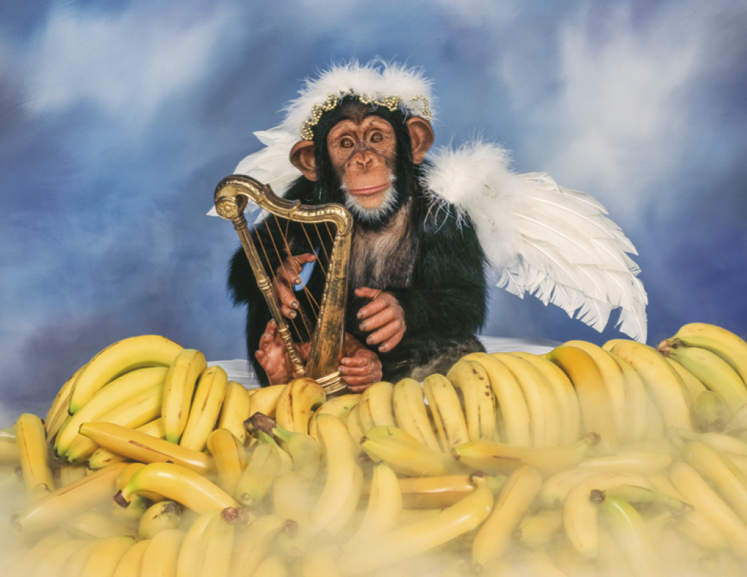 Triumph Calendars Monkey Business Calendar-1552