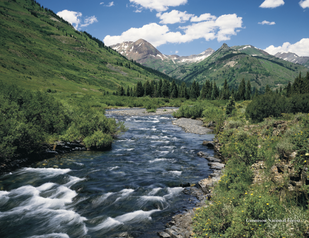HotLine Products Colorado Collection-156