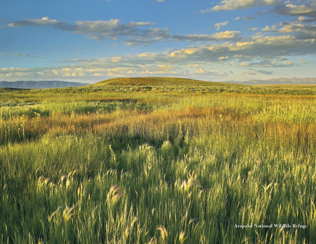HotLine Products Colorado Collection-156