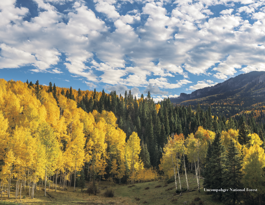 HotLine Products Colorado Collection-156