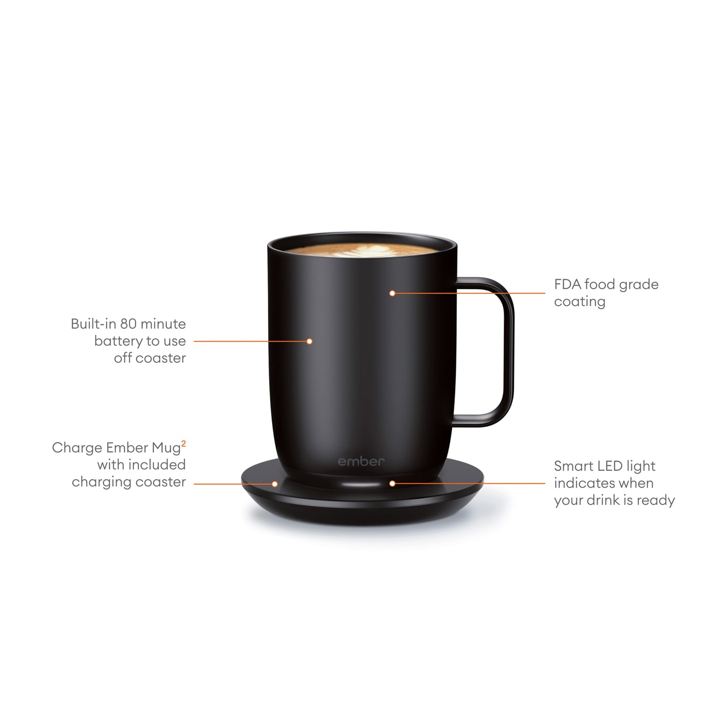 Image for 1600-61BK_B_Details.jpg
