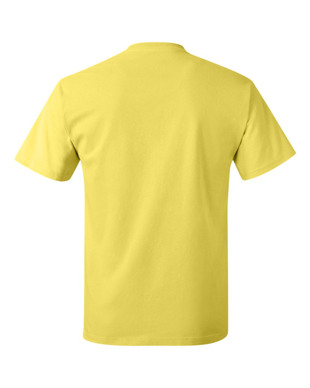 Image for 16977_b_fl.jpg