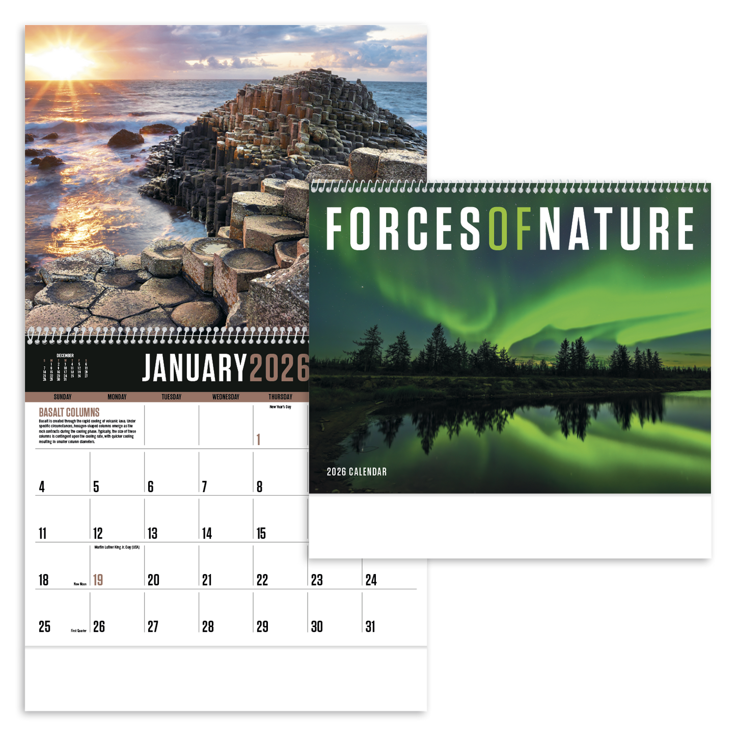 Triumph Calendars Forces of Nature Calendar-1705