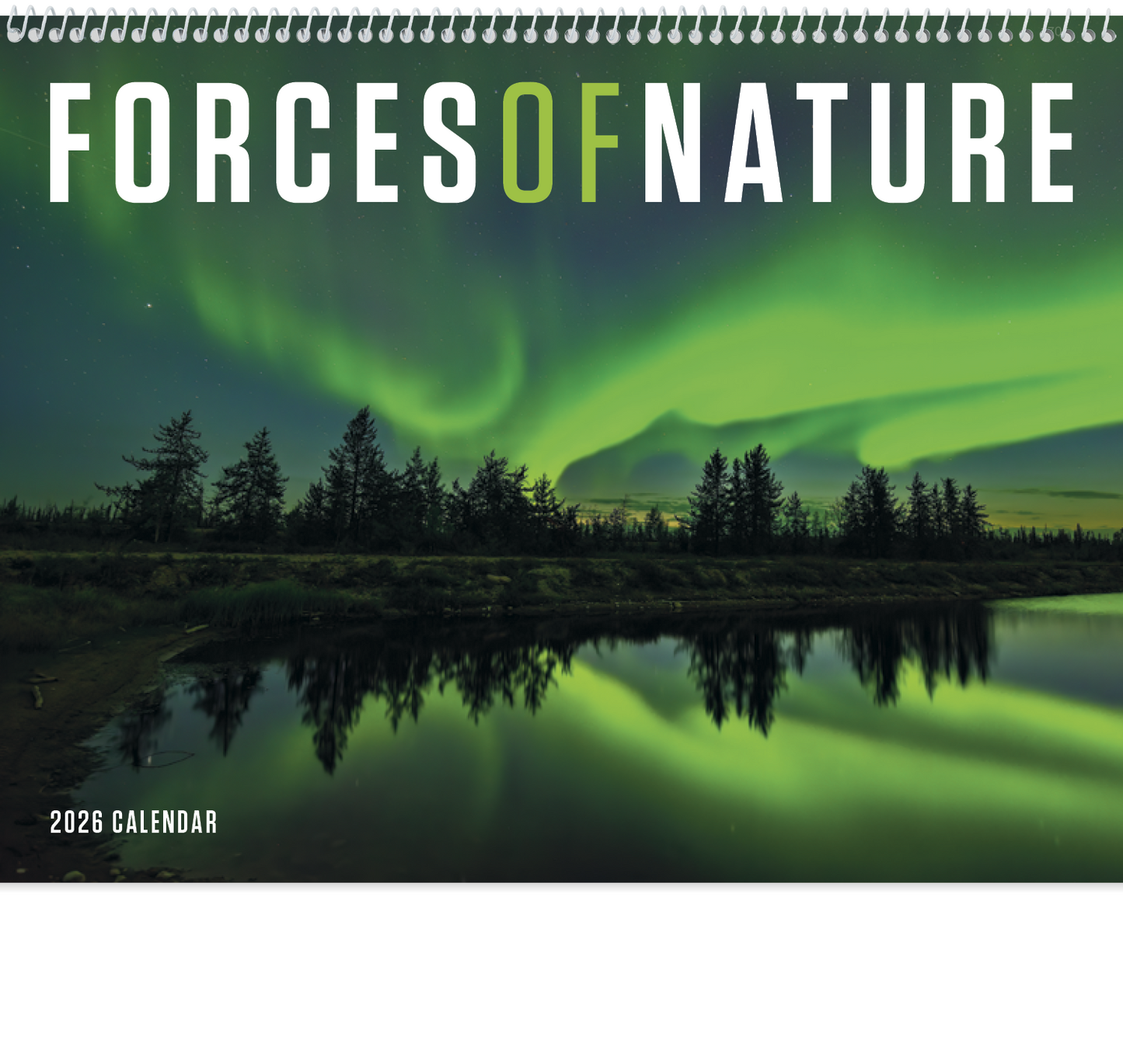 Triumph Calendars Forces of Nature Calendar-1705