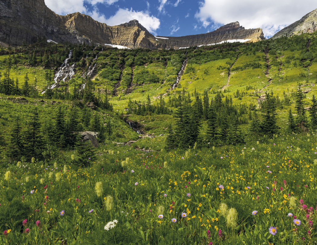 Triumph Calendars National Parks Calendar-1710