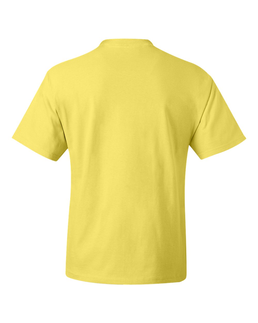 Image for 17282_b_fl.jpg