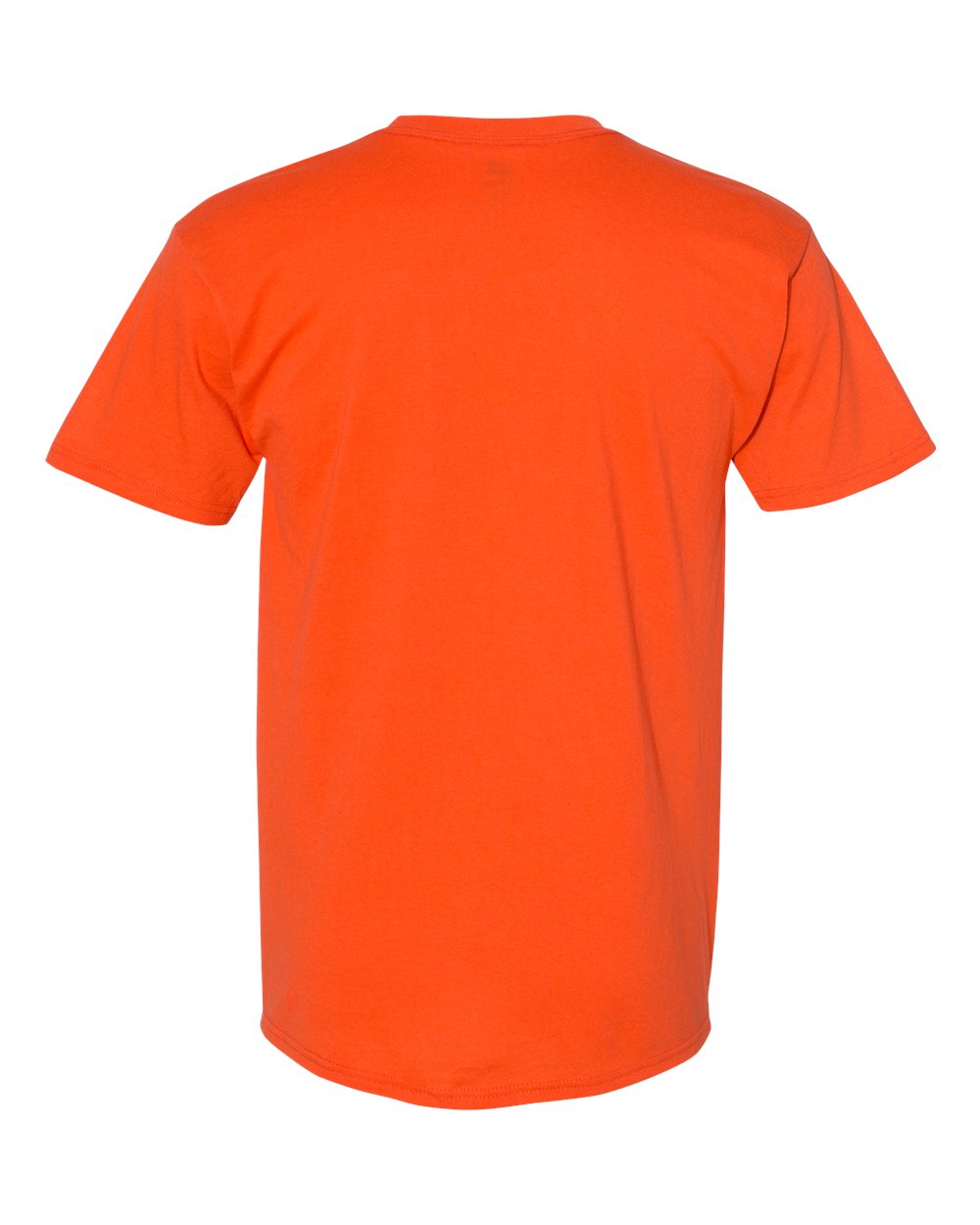 Image for 17830_b_fl.jpg