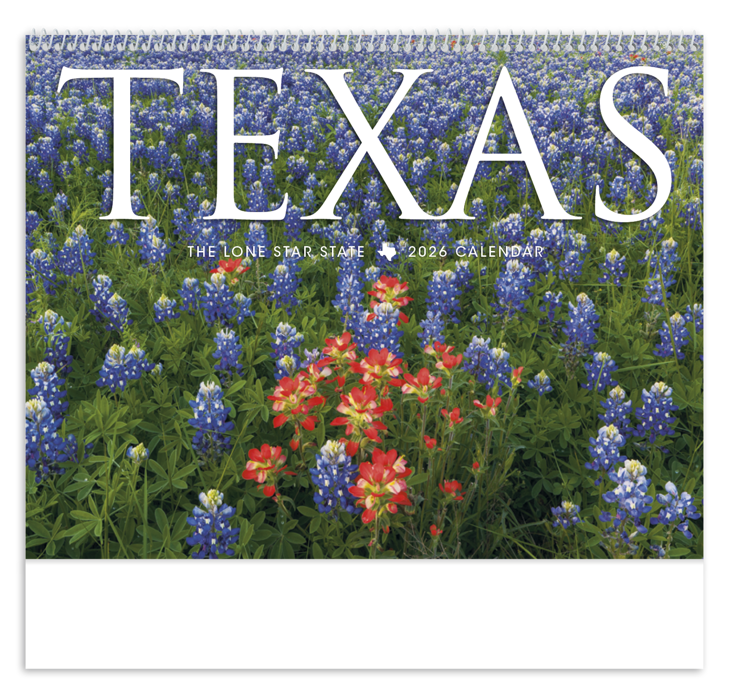 Triumph Calendars Texas Calendar-1792
