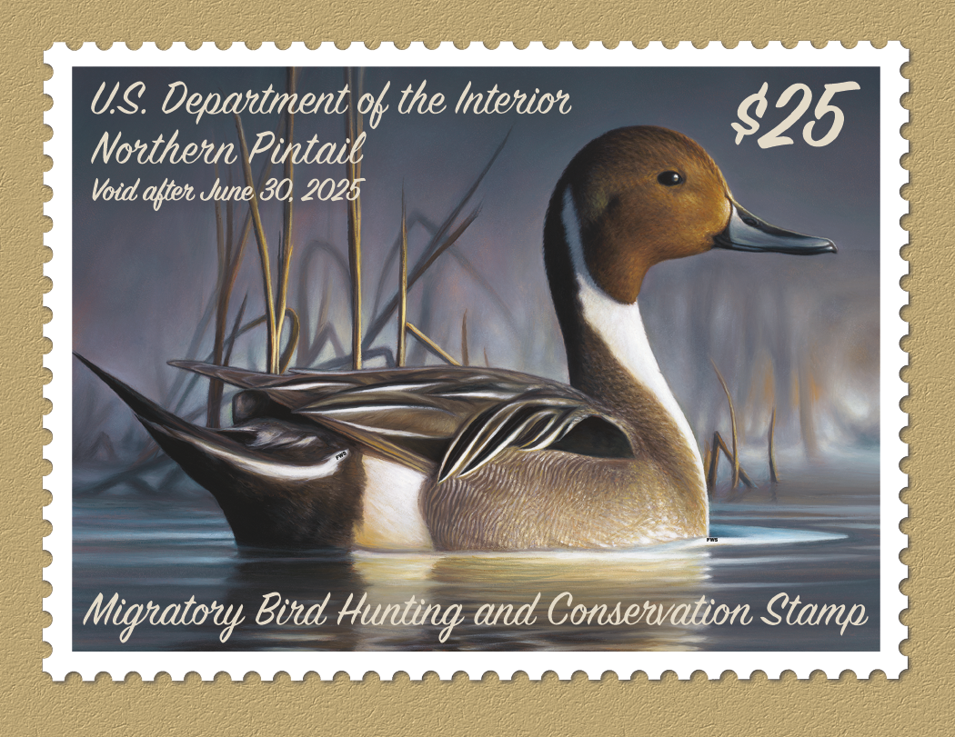 Triumph Calendars Duck Stamps Calendar-1809