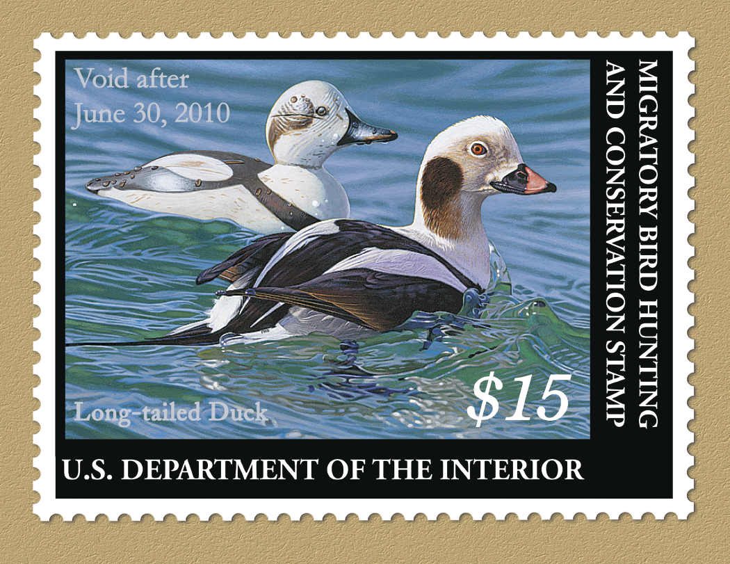 Triumph Calendars Duck Stamps Calendar-1809