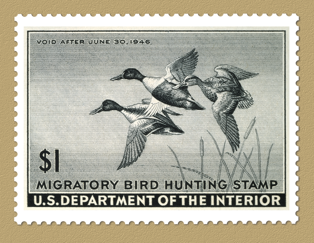 Triumph Calendars Duck Stamps Calendar-1809
