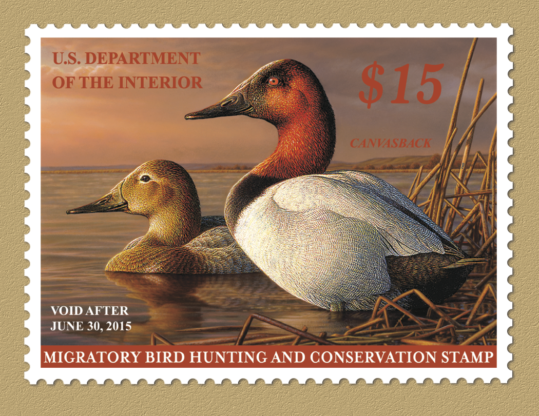 Triumph Calendars Duck Stamps Calendar-1809
