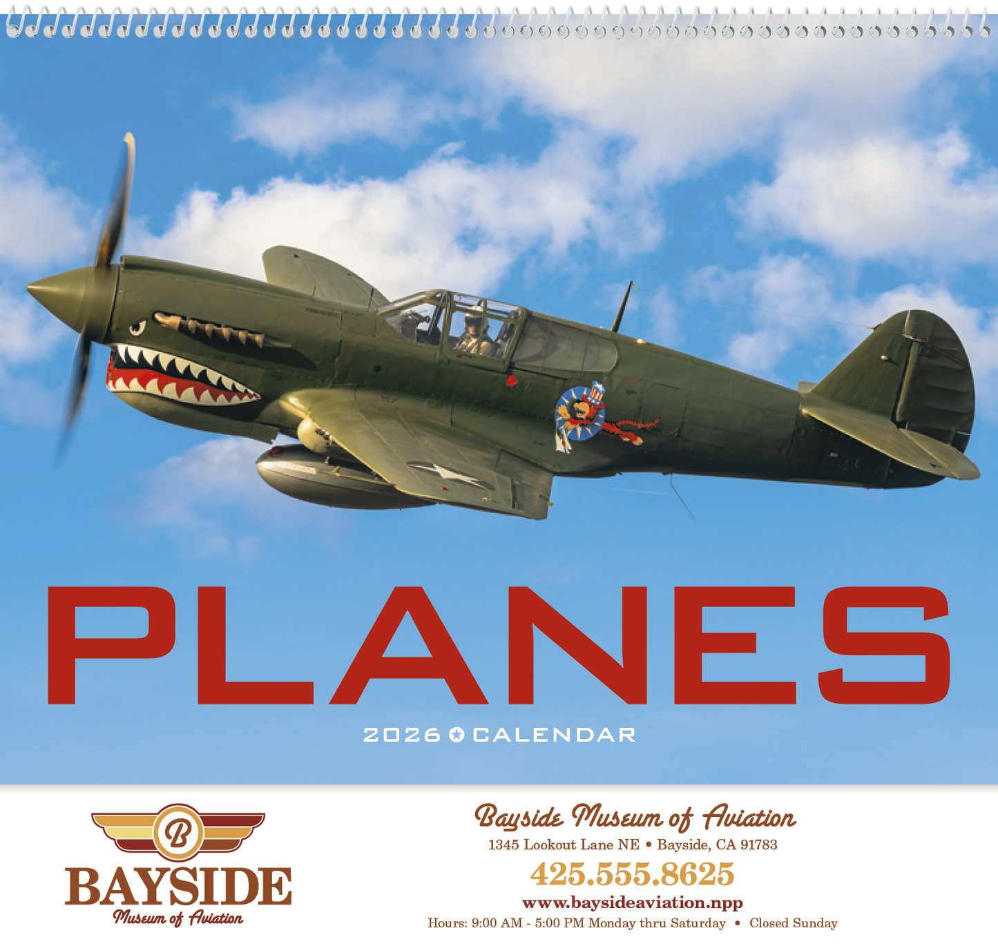 Triumph Calendars Planes Calendar-1852