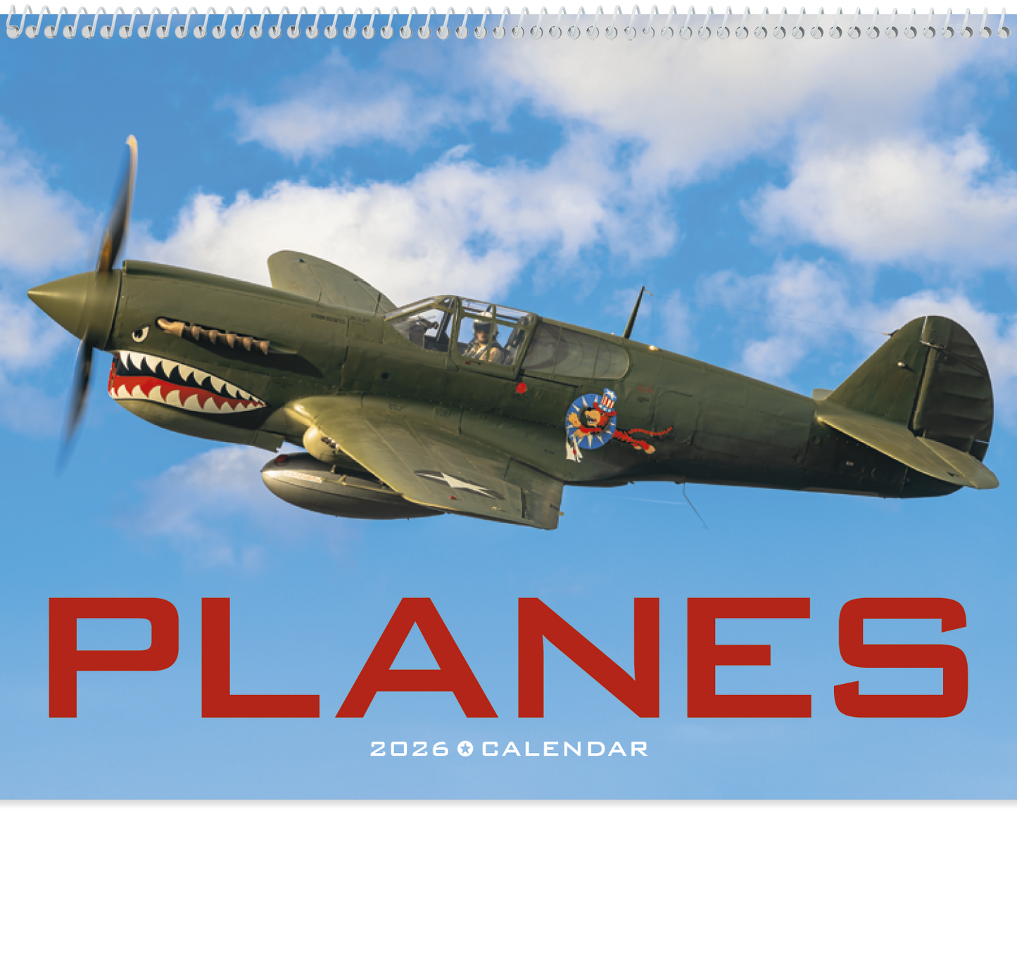 Triumph Calendars Planes Calendar-1852