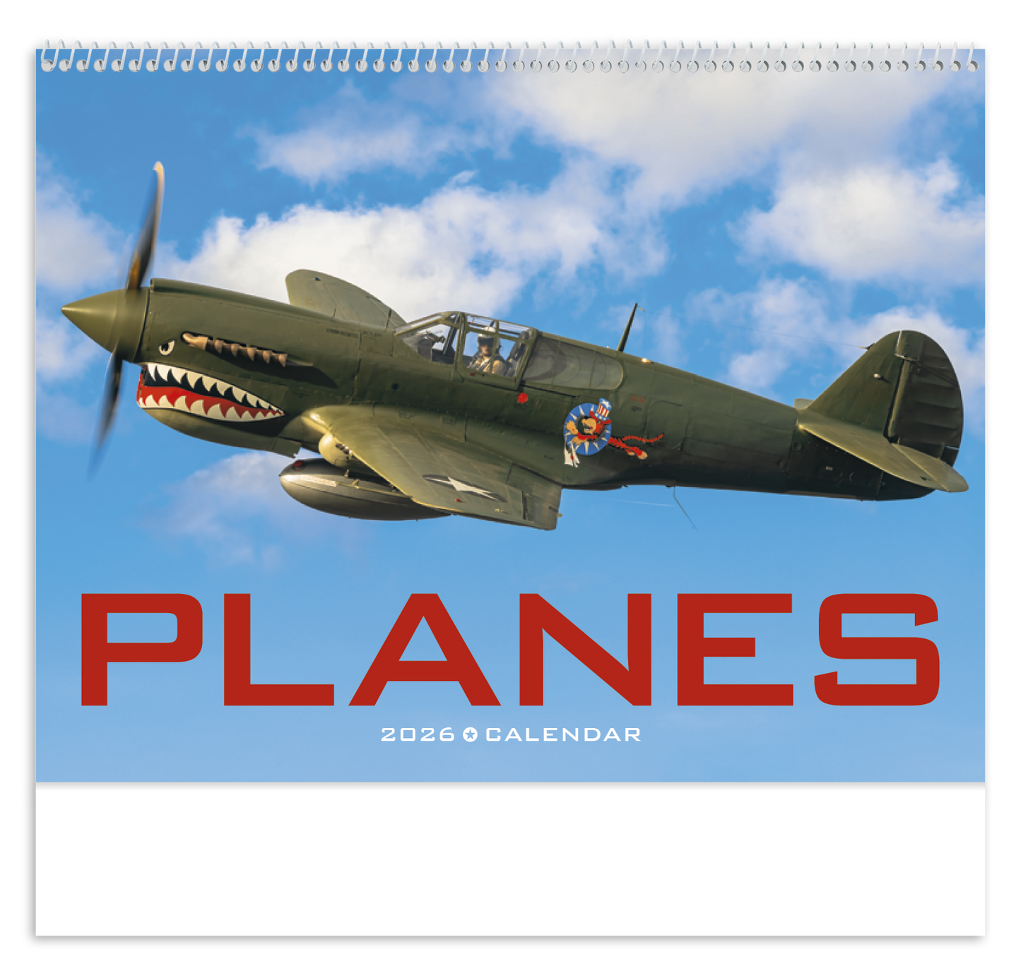 Triumph Calendars Planes Calendar-1852