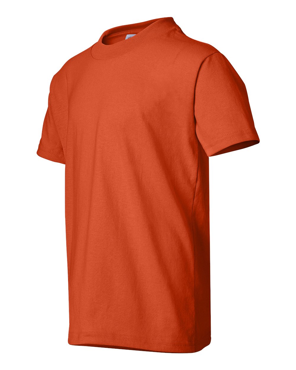 Image for 20747_fl.jpg