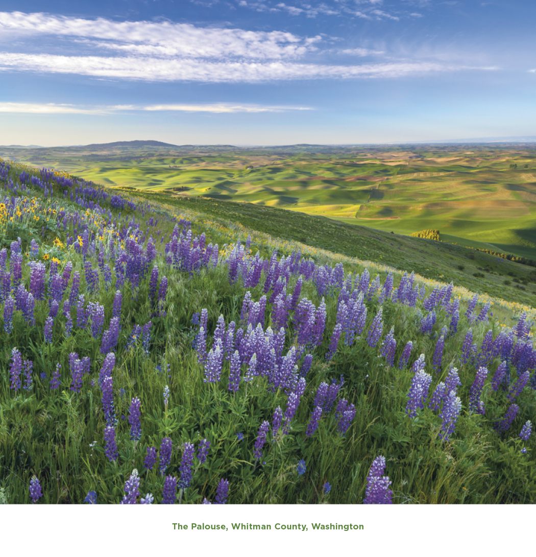 Triumph Calendars Beautiful America Calendar-2100