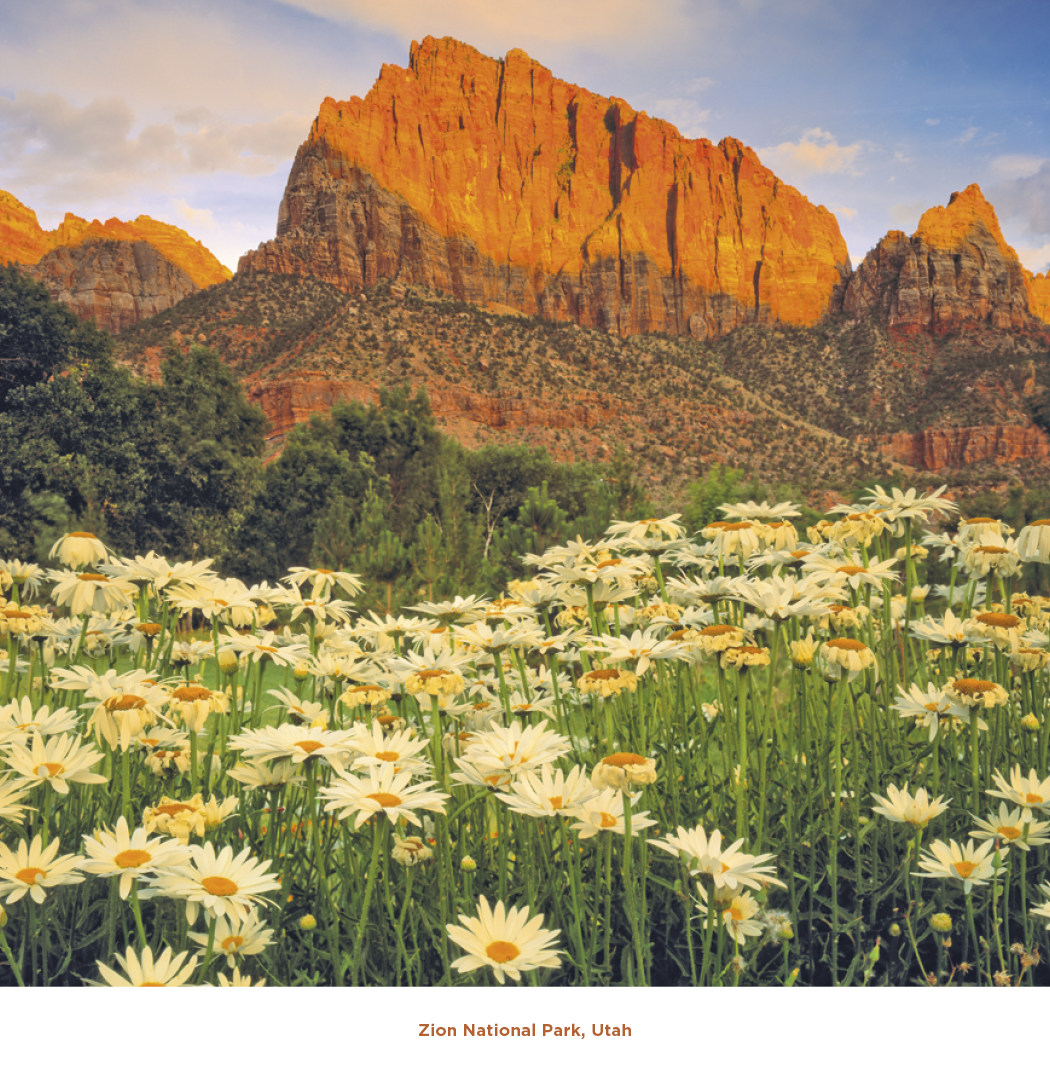 Triumph Calendars Beautiful America Calendar-2100