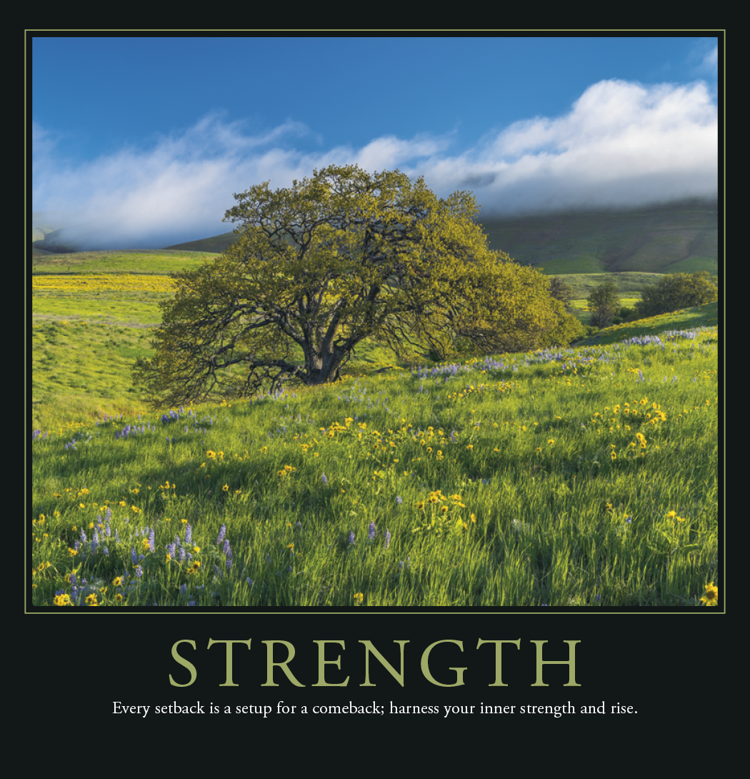 Triumph Calendars Motivations Calendar-2102