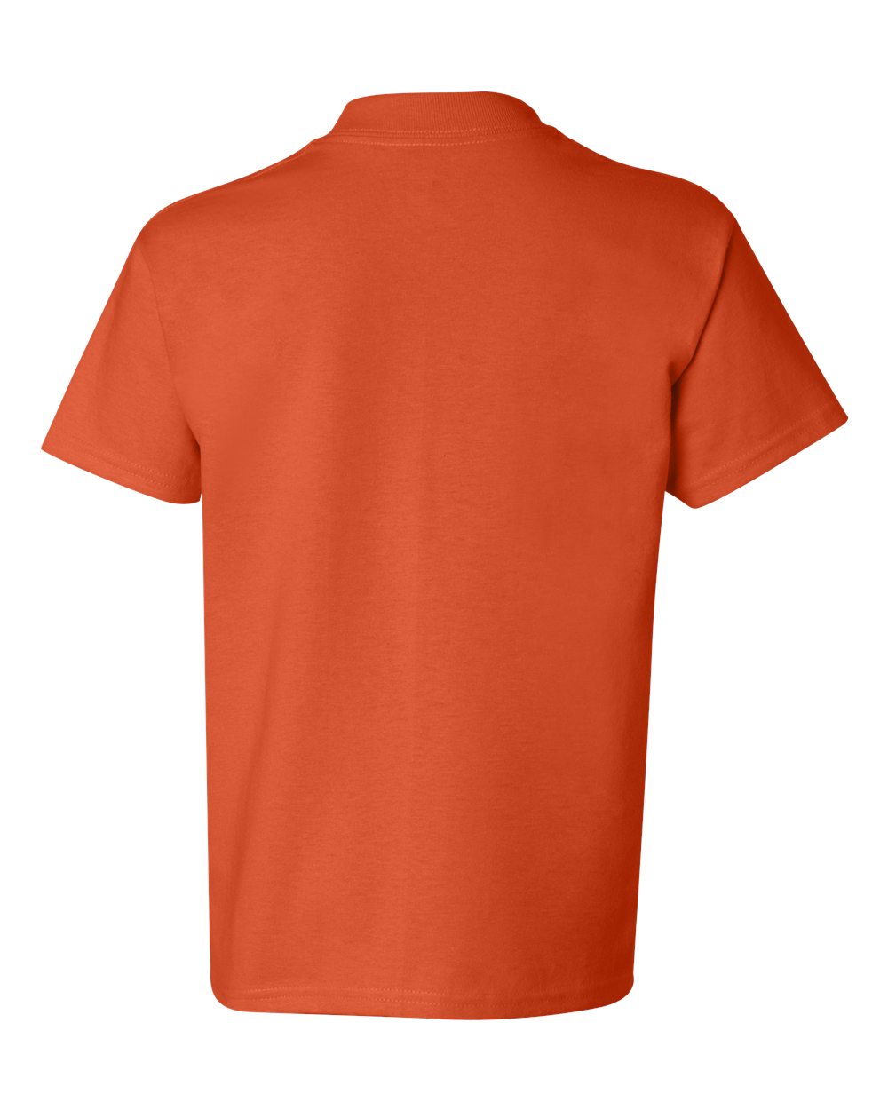 Image for 21043_b_fl.jpg