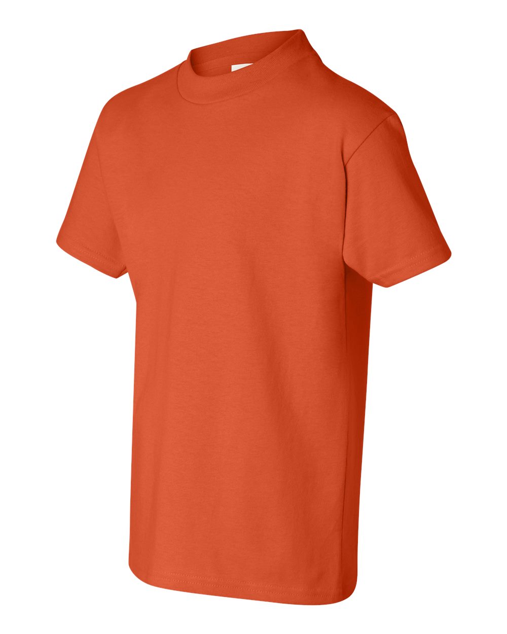 Image for 21043_fl.jpg