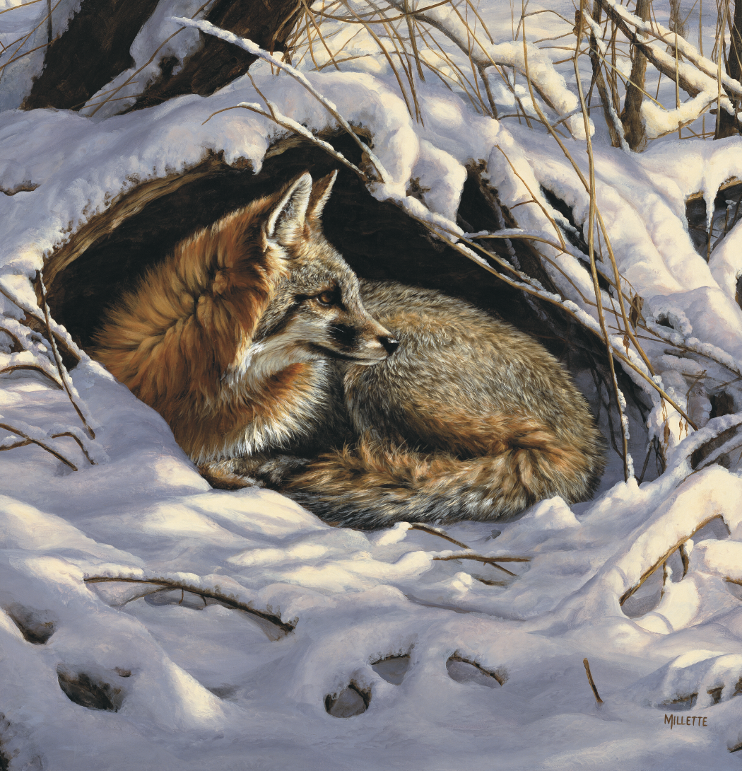 Triumph Calendars Wildlife Art Calendar-2104