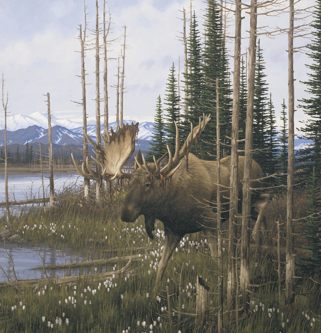 Triumph Calendars Wildlife Art Calendar-2104