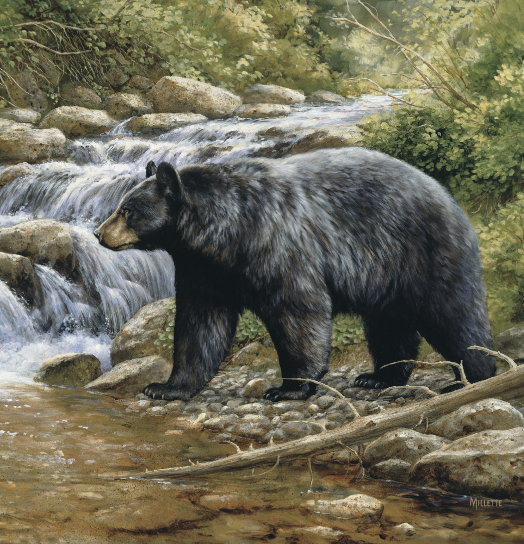 Triumph Calendars Wildlife Art Calendar-2104